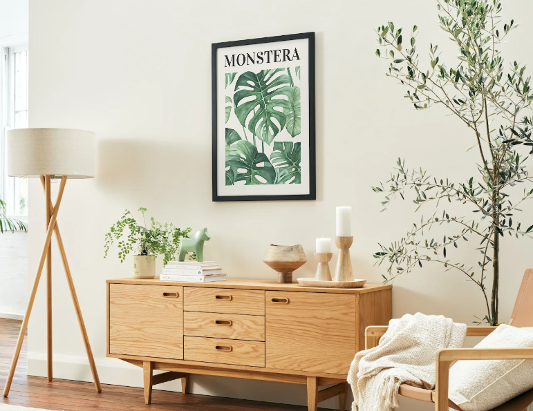 Affiche botanique "Monstera"