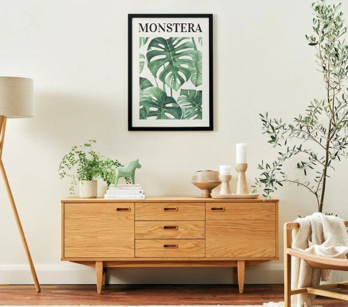 Affiche botanique "Monstera"